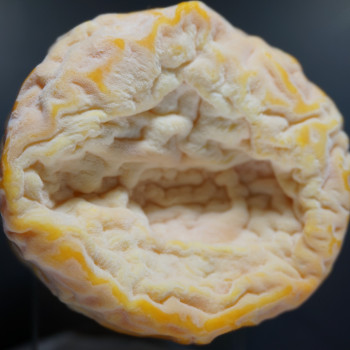 Langres AOP