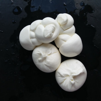 Mozzarella di Bufala AOP