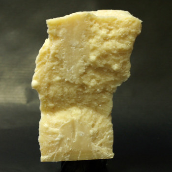 parmigiano-reggiano